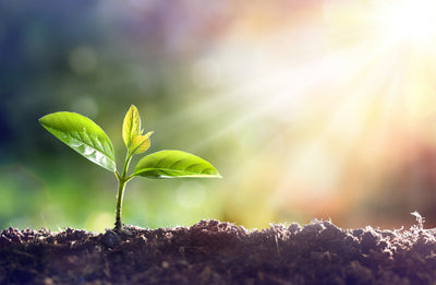 What is an ethical multivitamin?