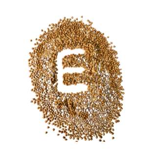 vitamin-e
